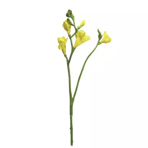 Payaa Freesia floramunda geel 65cm (200988)