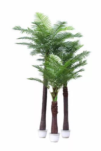 Payaa Coco Palm Tree 250cm (201537)